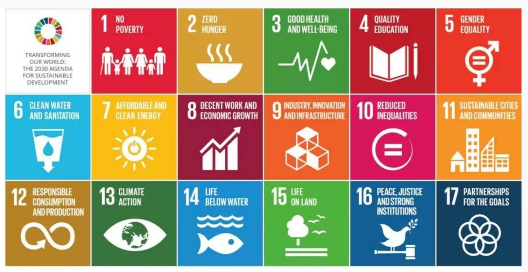 What Are The UN Sustainable Development Goals? - FundingHope