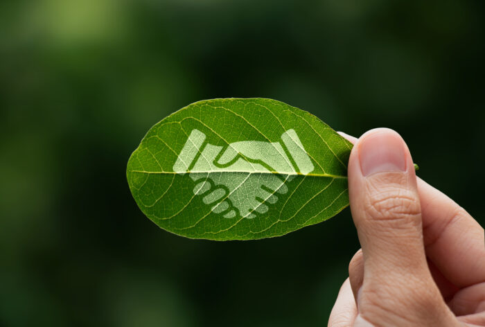 impact investing vs esg investing